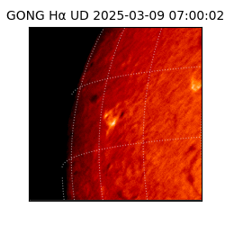 gong - 2025-03-09T07:00:02