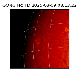 gong - 2025-03-09T08:13:22
