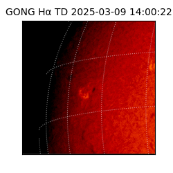 gong - 2025-03-09T14:00:22