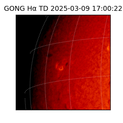 gong - 2025-03-09T17:00:22