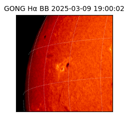 gong - 2025-03-09T19:00:02