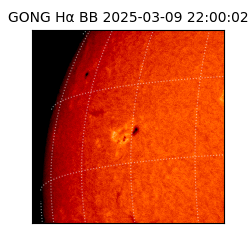 gong - 2025-03-09T22:00:02