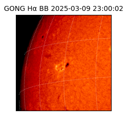 gong - 2025-03-09T23:00:02