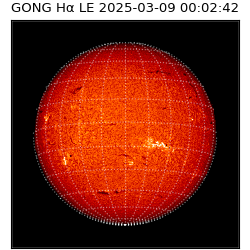 gong - 2025-03-09T00:02:42