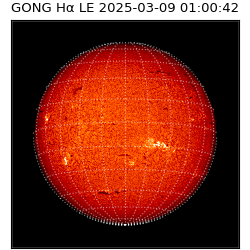 gong - 2025-03-09T01:00:42