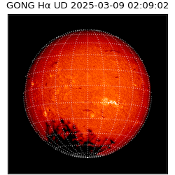 gong - 2025-03-09T02:09:02