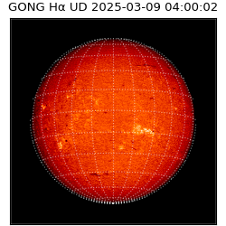 gong - 2025-03-09T04:00:02