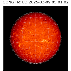 gong - 2025-03-09T05:01:02