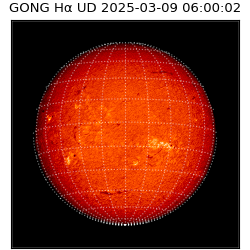 gong - 2025-03-09T06:00:02