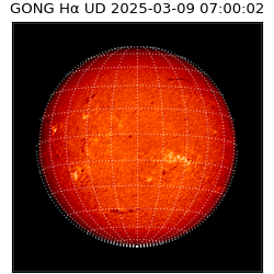 gong - 2025-03-09T07:00:02