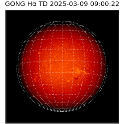 gong - 2025-03-09T09:00:22