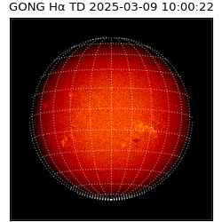 gong - 2025-03-09T10:00:22