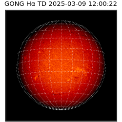 gong - 2025-03-09T12:00:22