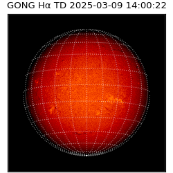 gong - 2025-03-09T14:00:22