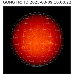 gong - 2025-03-09T16:00:22