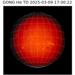 gong - 2025-03-09T17:00:22