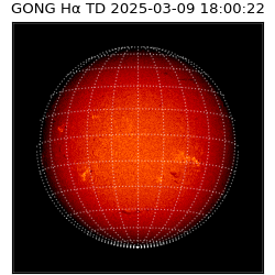 gong - 2025-03-09T18:00:22