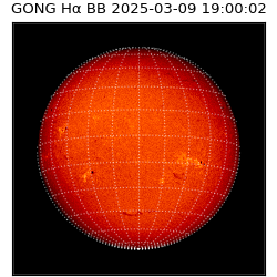 gong - 2025-03-09T19:00:02