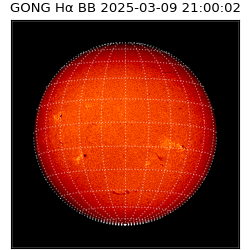 gong - 2025-03-09T21:00:02