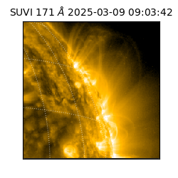 suvi - 2025-03-09T09:03:42.338000