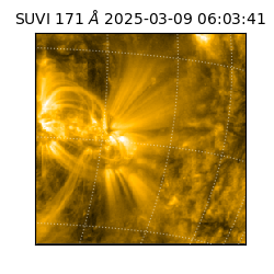 suvi - 2025-03-09T06:03:41.896000