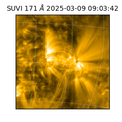 suvi - 2025-03-09T09:03:42.338000