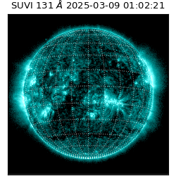 suvi - 2025-03-09T01:02:21.131000