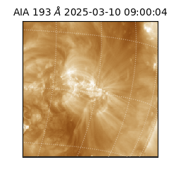saia - 2025-03-10T09:00:04.843000