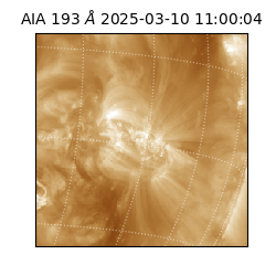 saia - 2025-03-10T11:00:04.843000