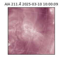 saia - 2025-03-10T10:00:09.626000