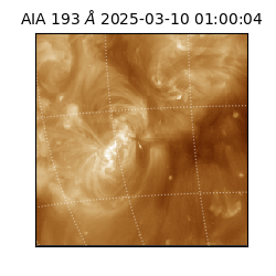 saia - 2025-03-10T01:00:04.843000