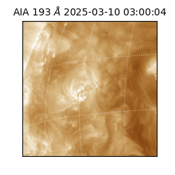 saia - 2025-03-10T03:00:04.843000