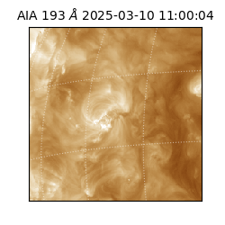 saia - 2025-03-10T11:00:04.843000