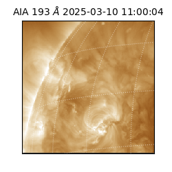 saia - 2025-03-10T11:00:04.843000