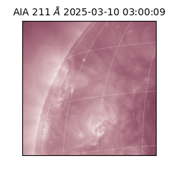 saia - 2025-03-10T03:00:09.626000