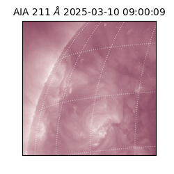 saia - 2025-03-10T09:00:09.626000