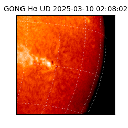 gong - 2025-03-10T02:08:02