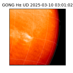 gong - 2025-03-10T03:01:02