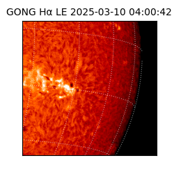 gong - 2025-03-10T04:00:42