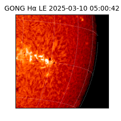 gong - 2025-03-10T05:00:42