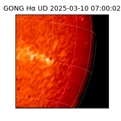 gong - 2025-03-10T07:00:02