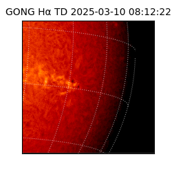 gong - 2025-03-10T08:12:22