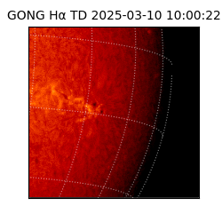 gong - 2025-03-10T10:00:22