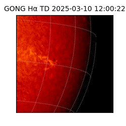 gong - 2025-03-10T12:00:22