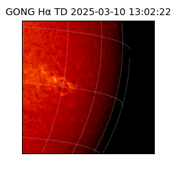 gong - 2025-03-10T13:02:22