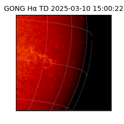 gong - 2025-03-10T15:00:22