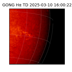 gong - 2025-03-10T16:00:22