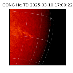 gong - 2025-03-10T17:00:22