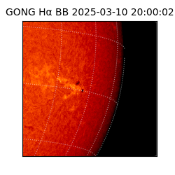 gong - 2025-03-10T20:00:02