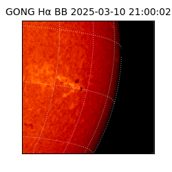 gong - 2025-03-10T21:00:02